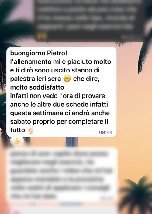 recensioni_whatsapp_pietro1